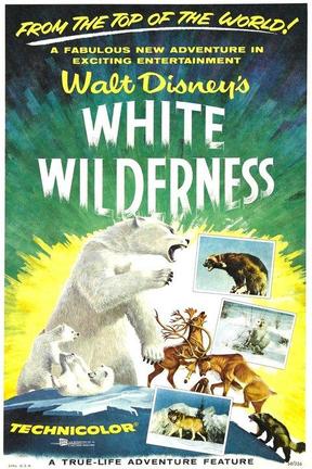 poster for White Wilderness