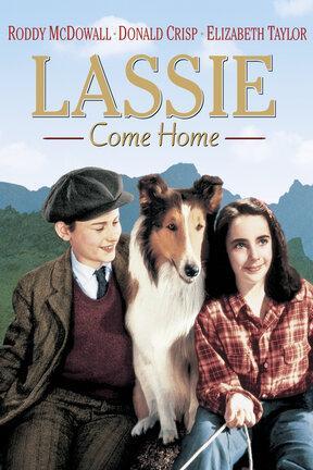 poster for Lassie Come Home