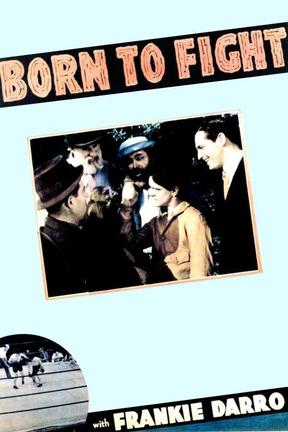 poster for Born to Fight