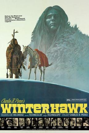 poster for Winterhawk