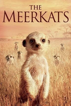 poster for The Meerkats