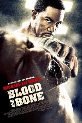 poster for Blood and Bone