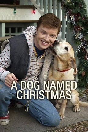 poster for A Dog Named Christmas