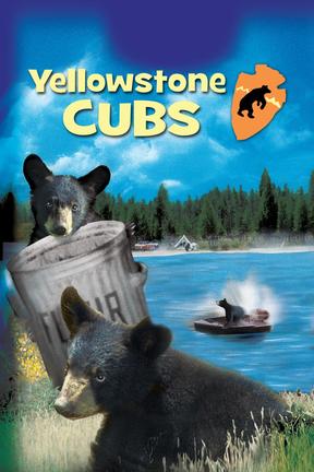 poster for Yellowstone Cubs