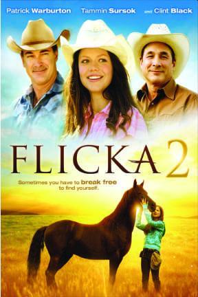 poster for Flicka 2