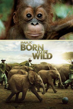 poster for Born to Be Wild: IMAX