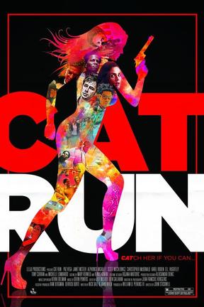 poster for Cat Run