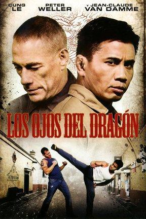 poster for Dragon Eyes