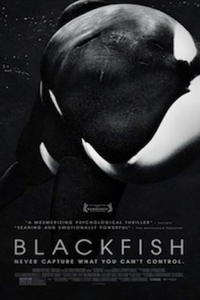 poster for Blackfish