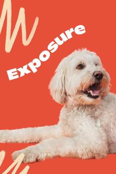 poster for Exposure