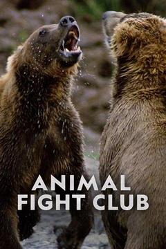 Animal Fight Night S6 E10 Grudge Match: Watch Full Episode Online | DIRECTV