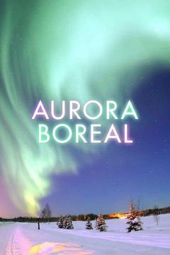 poster for Aurora - Fire in the Sky