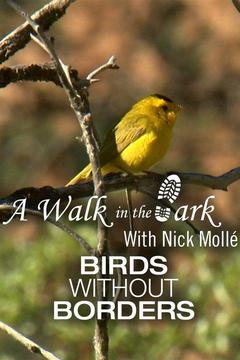 poster for A Walk in the Park With Nick Mollé: Birds Without Borders