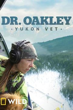 poster for Dr. Oakley, Yukon Vet
