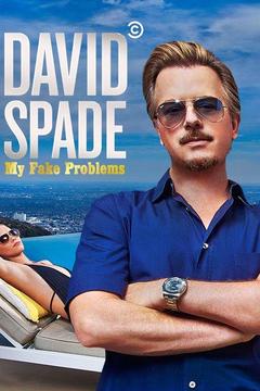 poster for David Spade: My Fake Problems