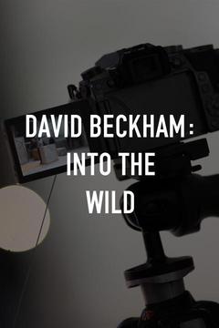 poster for David Beckham Into the Unknown