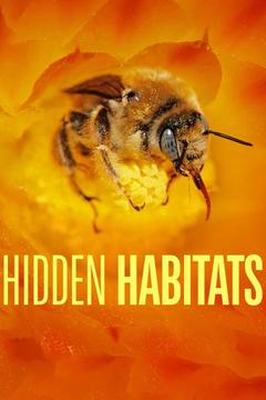 Hidden Habitats