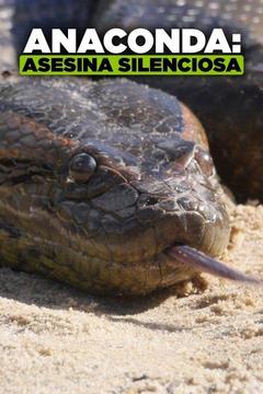 poster for Anaconda: asesina silenciosa