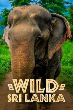poster for Wild Sri Lanka
