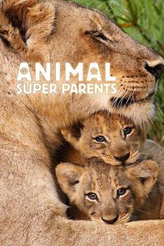 poster for Animal Super Parents