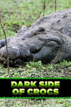 poster for Dark Side of Crocs