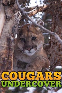 poster for Cougars Undercover