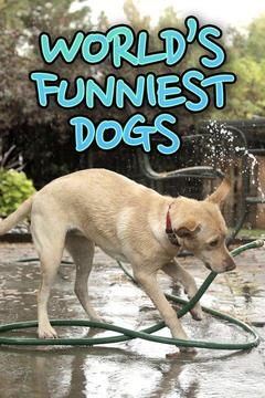 poster for World's Funniest Dogs