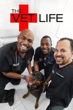 The Vet Life TV Series: Watch Full Episodes Online | DIRECTV