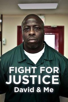 poster for Fight For Justice: David And Me