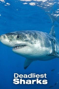 poster for Deadliest Sharks
