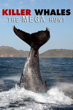 poster for Killer Whales: The Mega Hunt