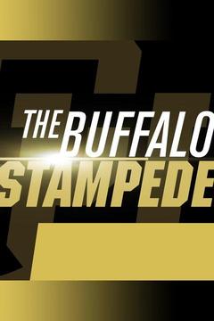 poster for The Buffalo Stampede