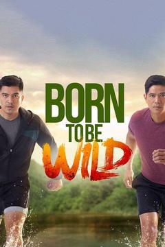 poster for Born to Be Wild