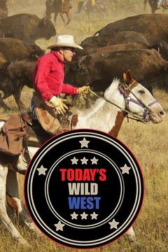 wild wild west tv series streaming