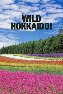 poster for Wild Hokkaido!