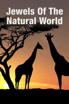poster for Jewels of the Natural World