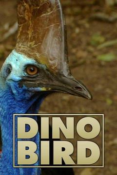 poster for Dino Bird