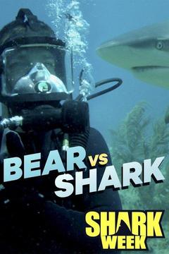 poster for Bear vs. Shark