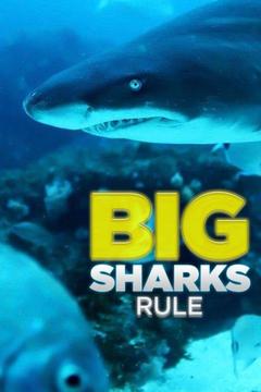 poster for Big Sharks Rule