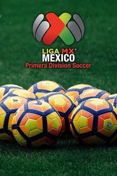 Fútbol Mexicano Primera División