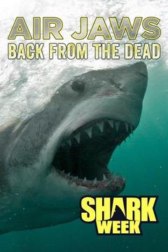 poster for Air Jaws: Back From the Dead