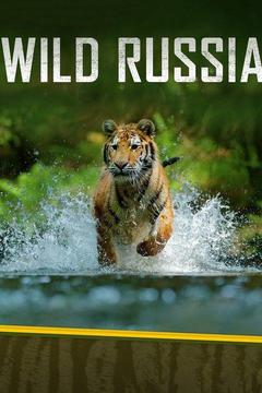 poster for Wild Russia