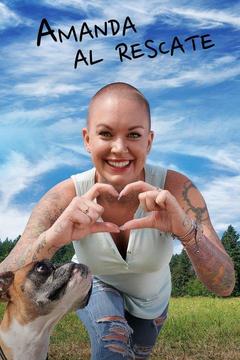 poster for Amanda to the Rescue