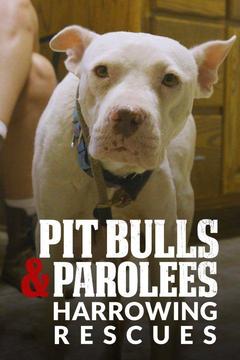 poster for Pit Bulls and Parolees: Harrowing Rescues