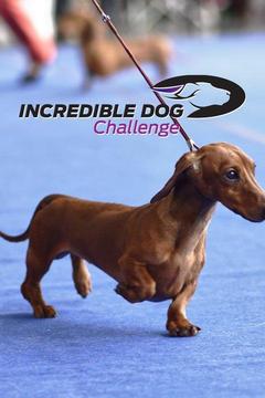 poster for Incredible Dog Challenge