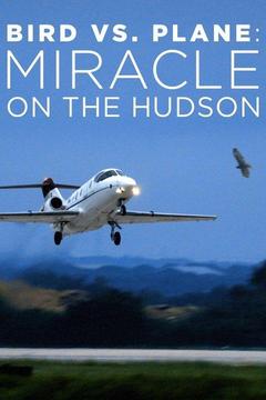 poster for Bird vs. Plane: Miracle on the Hudson