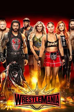poster for WWE WrestleMania 35