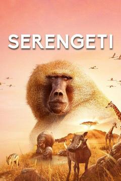 poster for Serengeti