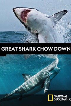 poster for Great Shark Chow Down