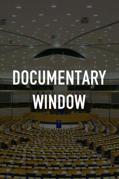 poster for Documentary Window